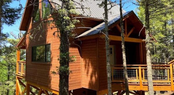 Unleash Your Inner Child And Book A Stay At This Luxurious Treehouse In New Mexico