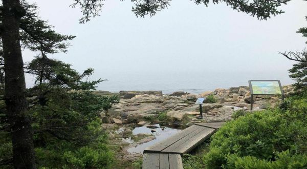 Ship Harbor Trail Is A Boardwalk Hike In Maine That Leads To A Rocky Beach