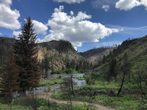 An Easy But Gorgeous Hike, Platte River Trail Leads To A Little-Known River In Wyoming