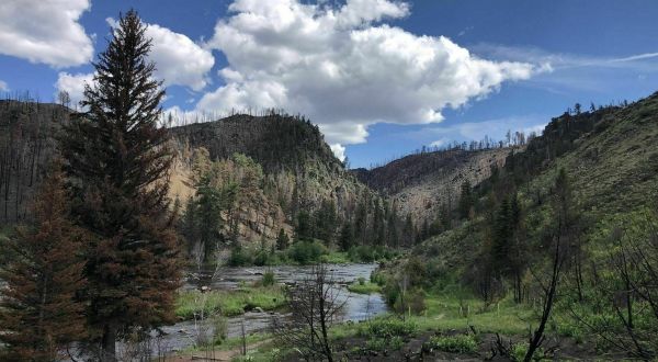 An Easy But Gorgeous Hike, Platte River Trail Leads To A Little-Known River In Wyoming