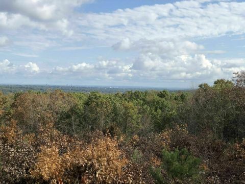 World War II Memorial Loop Is A Gorgeous Forest Trail In Rhode Island That Will Take You To A Hidden Overlook
