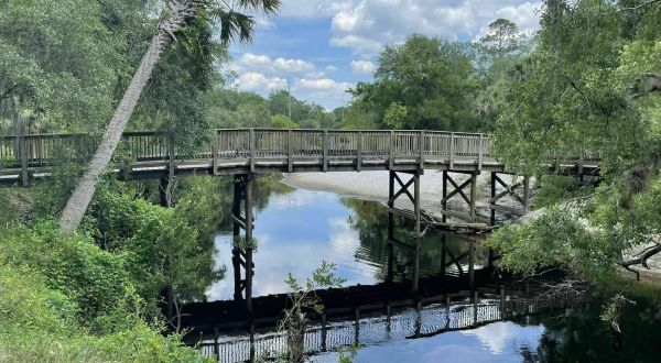 The 5-Mile Kolokee Loop Riverfront Trail In Florida Is Great For All Skill-Levels
