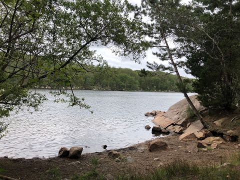 Take A Loop Trail Around Goose Cove Reservoir In Massachusetts For A Scenic Hike