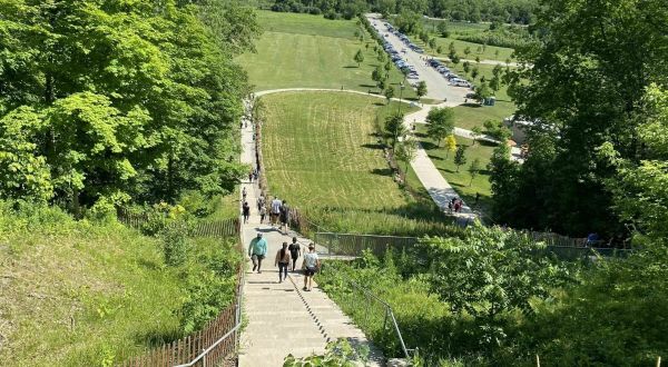 Swallow Cliff Woods In Illinois Features A 100-Foot Bluff, Beautiful Trails, And Even Fitness Stairs
