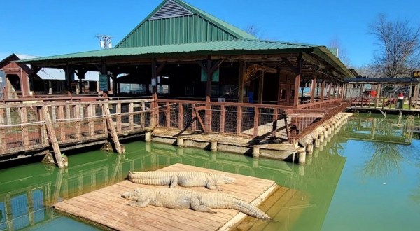 Gator Country Alligator Farm In Louisiana Makes For A Fun Family Day Trip