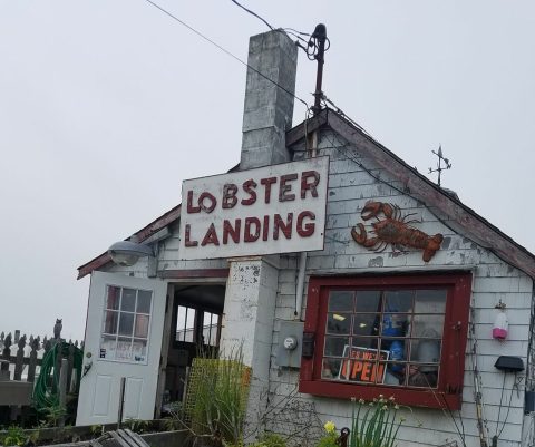 With More Than Just Lobster Rolls, Lobster Landing In Connecticut Is An Amazing Outdoor Seaside Dining Experience