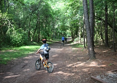 Alabama's Red Mountain Park Offers 15 Miles Of Hiking And Biking Trails That'll Lead You On An Adventure Like No Other
