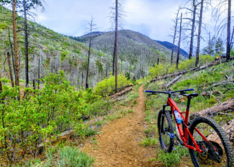 You Will Never Run Out Of Trails To Explore At Reynolds Park In Colorado