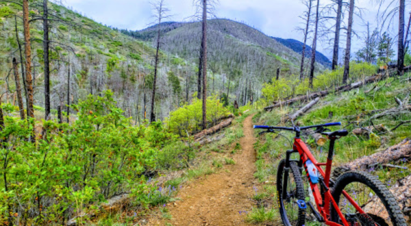 You Will Never Run Out Of Trails To Explore At Reynolds Park In Colorado