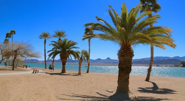 Rotary Community Park Is A Beachfront Attraction In Arizona You’ll Want To Visit Over And Over Again