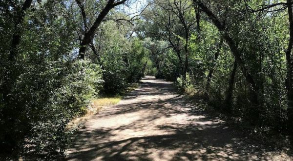 Walk Right Along The Animas River On This Shaded And Beautiful Family-Friendly Hike In New Mexico