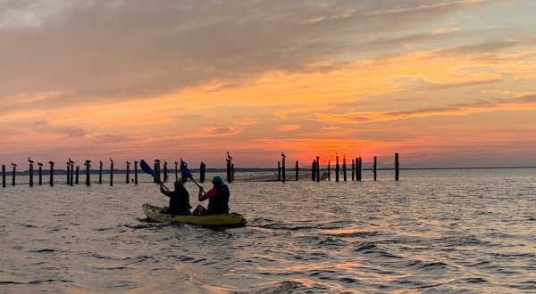 Take A Sunset Dolphin Kayak Tour For An Unforgettably Scenic Virginia Adventure
