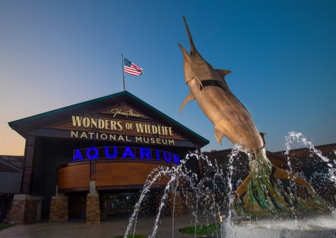 Wonders of Wildlife National Museum & Aquarium In Missouri Has Officially Been Named One Of The Best In The Country