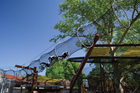 Stroll Along An Elevated Boardwalk For A Look At The One-Of-A-Kind Primate House At The Saint Louis Zoo