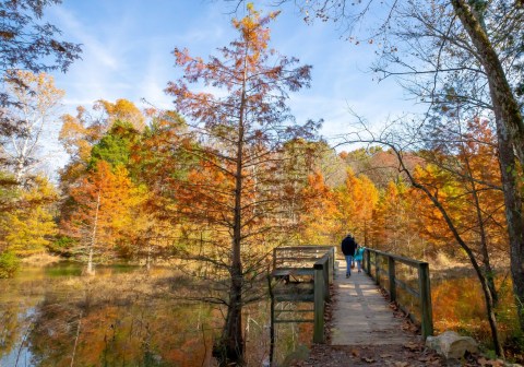 When And Where To Expect Kentucky's Fall Foliage To Peak This Year