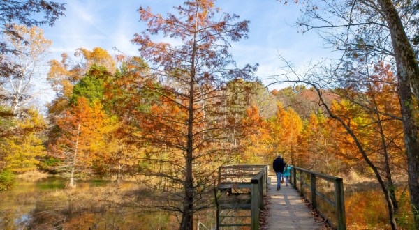 When And Where To Expect Kentucky’s Fall Foliage To Peak This Year