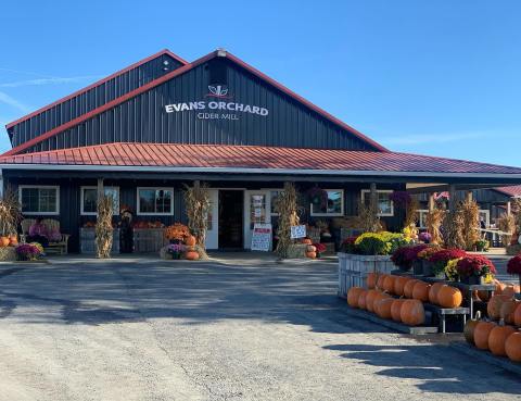 Get Ready For Apple And Pumpkin Everything At This Family-Friendly Orchard In Kentucky