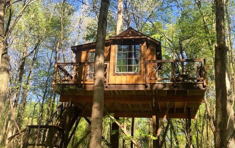 Sleep In The Treetops At Cherry Treesort, A Treehouse Resort In North Carolina
