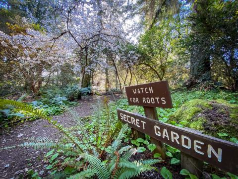 Visiting This Peaceful Woodland Garden In Washington Is Like Stepping Into A Fairytale