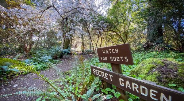 Visiting This Peaceful Woodland Garden In Washington Is Like Stepping Into A Fairytale