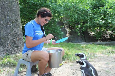Play With Penguins At Blank Park Zoo In Iowa For An Adorable Adventure