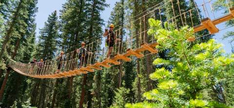 The Longest Elevated Canopy Walk In Colorado Can Be Found At Canopy Run Zipline Tour