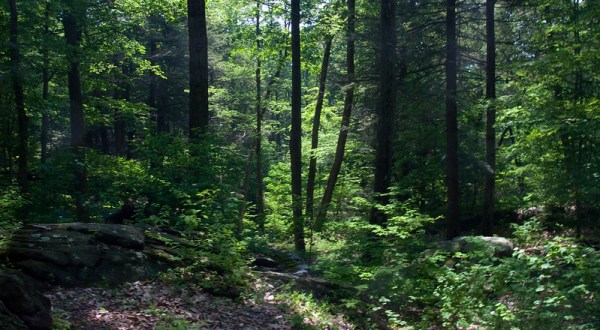 Check Out The Beautiful And Underrated Clarence Fahnestock State Park In New York