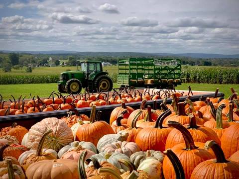 Nothing Says Fall Is Here More Than A Visit To Pennsylvania's Charming Family Fun Farm