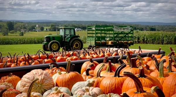 Nothing Says Fall Is Here More Than A Visit To Pennsylvania’s Charming Family Fun Farm