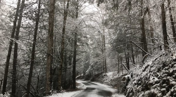 Prepare Yourself For Slushy Weather This Winter In Georgia, According To The Farmers Almanac