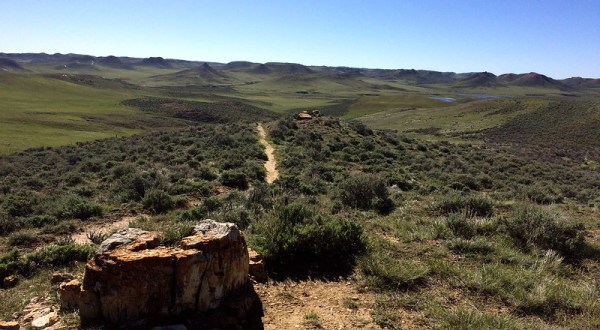 Fall Is The Perfect Time To Explore Wyoming’s Dry Creek Petrified Tree Forest