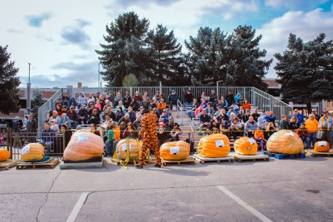 Don’t Miss The Biggest Fall Festival In South Dakota This Year, The Great Pumpkin Festival