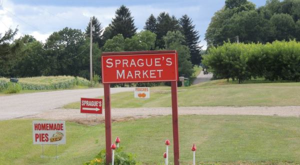 Sprague’s Family Fun Farm In Michigan Is The Perfect Place To Embrace Life’s Simple Pleasures