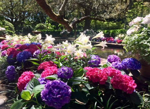 This Blooming Botanical Garden Was Recently Named The Most Beautiful Place In Alabama