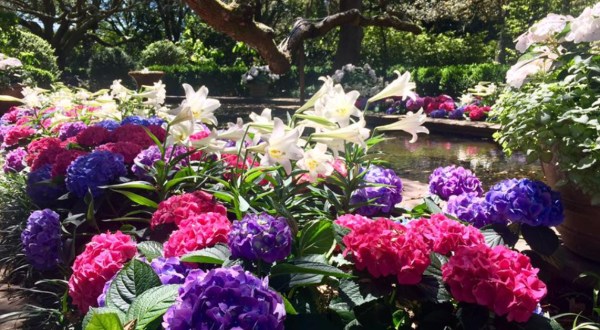 This Blooming Botanical Garden Was Recently Named The Most Beautiful Place In Alabama