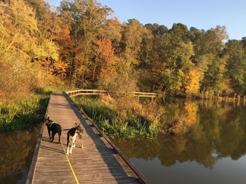 The Gorgeous 2.5-Mile Hike In Mississippi’s Tombigbee National Forest That Will Lead You Past A Lake