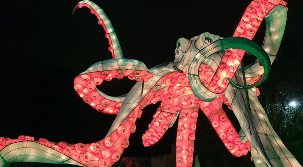 There’s An Asian Lantern Festival At The Pittsburgh Zoo And It’s Downright Magical