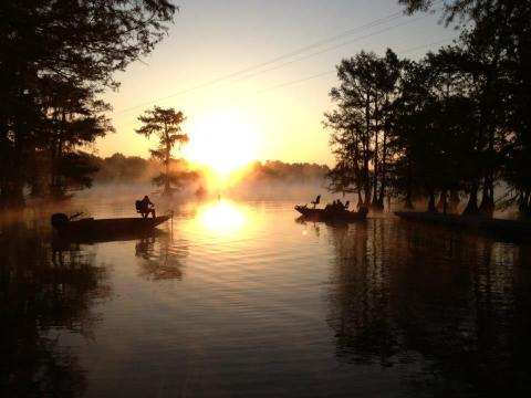 Discover A Pristine Paradise When You Visit Louisiana's Lake Chicot
