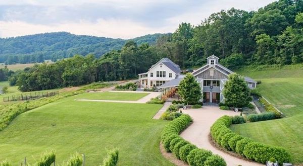 With Wildflower Meadows And Mountain Views, Pippin Hill Might Just Be The Most Beautiful Winery In Virginia