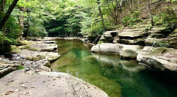 Pack An Overnight Bag For A Trek Along The Challenging But Beautiful Old Logger’s Path In Pennsylvania