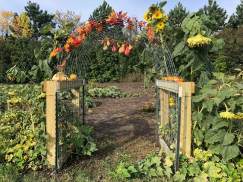 Pick Your Own Flowers And Veggies At This Charming Farm Hiding In North Dakota