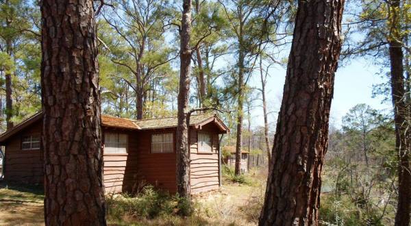 You’ll Have A Front Row View Of The Texas Lost Pines In These Cozy Cabins At Bastrop State Park