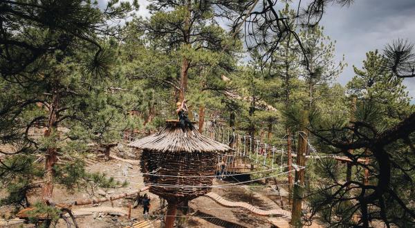 This Treehouse Adventure Park May Be One Of The Most Magical Places In Colorado