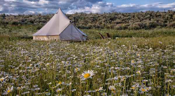 Escape To A Private Tent In A Serene Meadow At This Gorgeous Airbnb Stay In Idaho