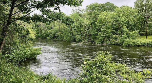 A Peaceful Canoe Trip Along The Blackstone River Is Just What You Need to Tap Into Your Inner Zen
