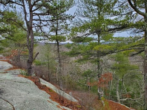 This Loop Trail Hike Is The Perfect Way To Explore The Gorgeous Wickaboxet Management Area