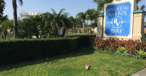 The Anaheim Harbor RV Park May Just Be The Disneyland Of Southern California Campgrounds