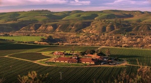 Travel Along The Beautiful Countryside And Enjoy Wine Tasting Events At Sanford Winery & Vineyards In Southern California