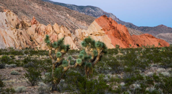 The 8 Best Back Roads In Nevada For A Long Scenic Drive