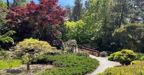 Mytoi Japanese Garden Is A Hidden Gem In Massachusetts Where You Can Find Peace And Quiet